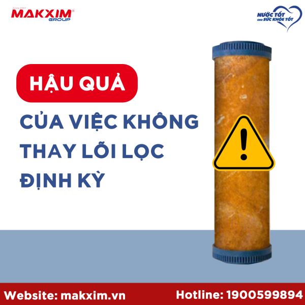 hau-qua-cua-viec-khong-thay-loi-loc-dinh-ky